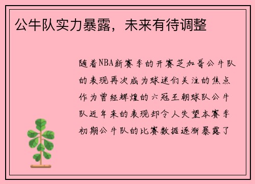 公牛队实力暴露，未来有待调整