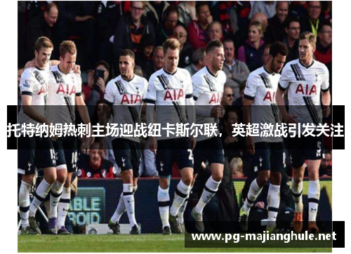 托特纳姆热刺主场迎战纽卡斯尔联，英超激战引发关注